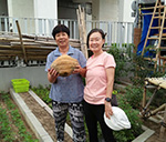 來稿天地 — 共建迎東 來稿天地 — 共建迎東