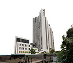 計劃大發現 — 北家「邨」情 - 寶石湖邨社區支援計劃 計劃大發現 — 北家「邨」情 - 寶石湖邨社區支援計劃