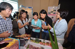 Representatives introduce the different project panels to the Forum participants.