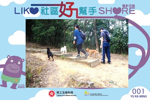 社區投資共享基金圖片