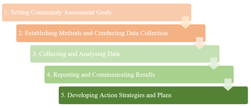 Figure 11: Key Steps in Community Assessment