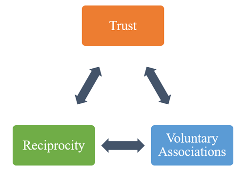 Figure 3: A Cycle between Trust, Reciprocity, and Voluntary Associations