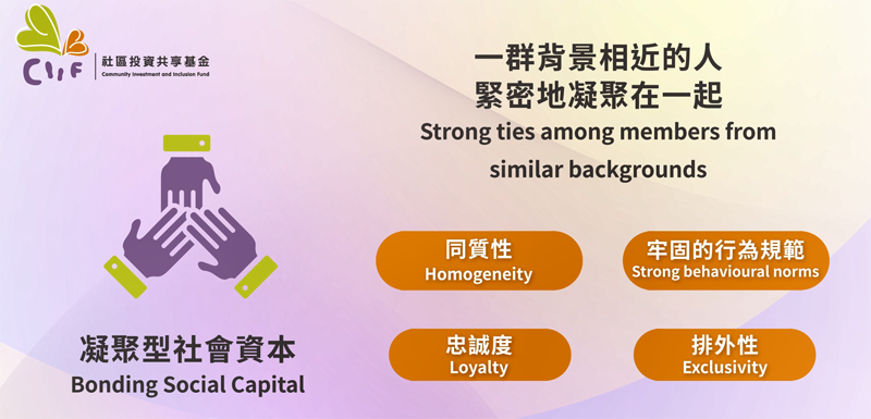 圖六︰凝聚型社會資本 (Bonding Social Capital)