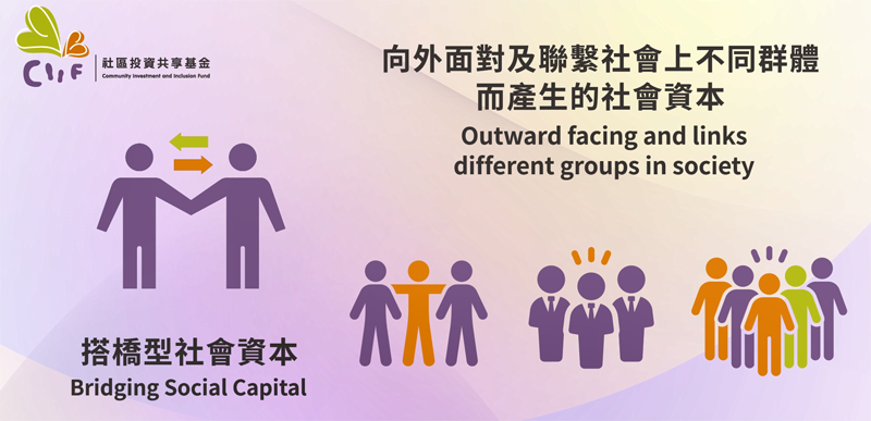 圖七︰搭橋型社會資本 (Bridging Social Capital)