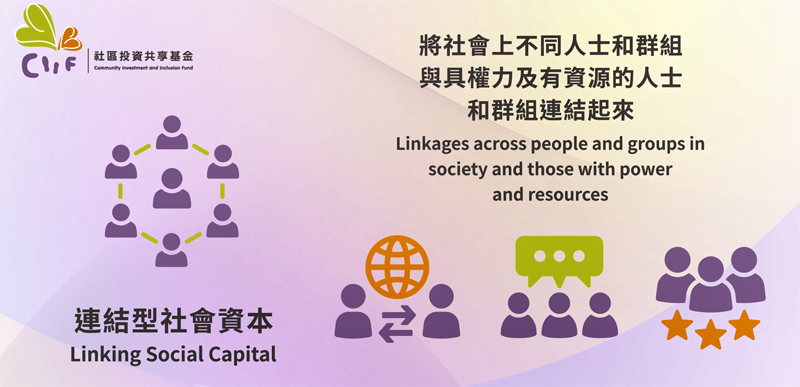 圖八︰連結型社會資本 (Linking Social Capital)